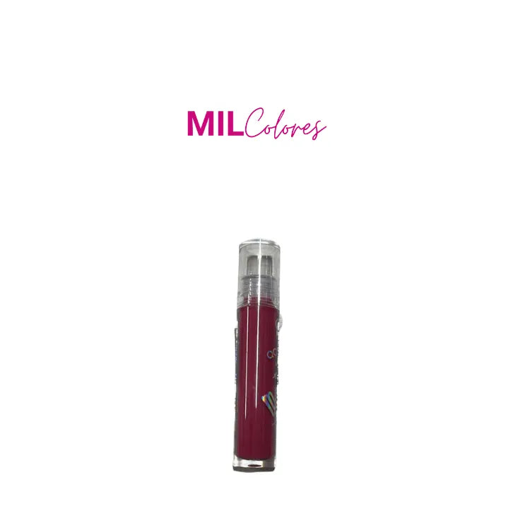 Brillo labial con aplicador qoiden rose